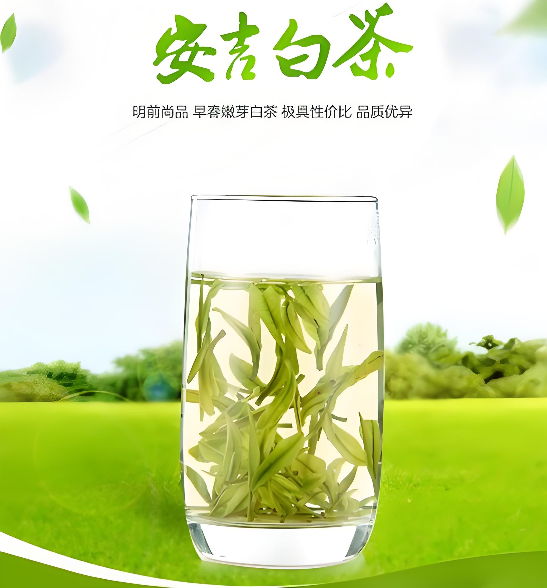 【买一斤送杯子】2025新茶清兰香安吉白茶回甘茶叶正宗浙江安吉白茶