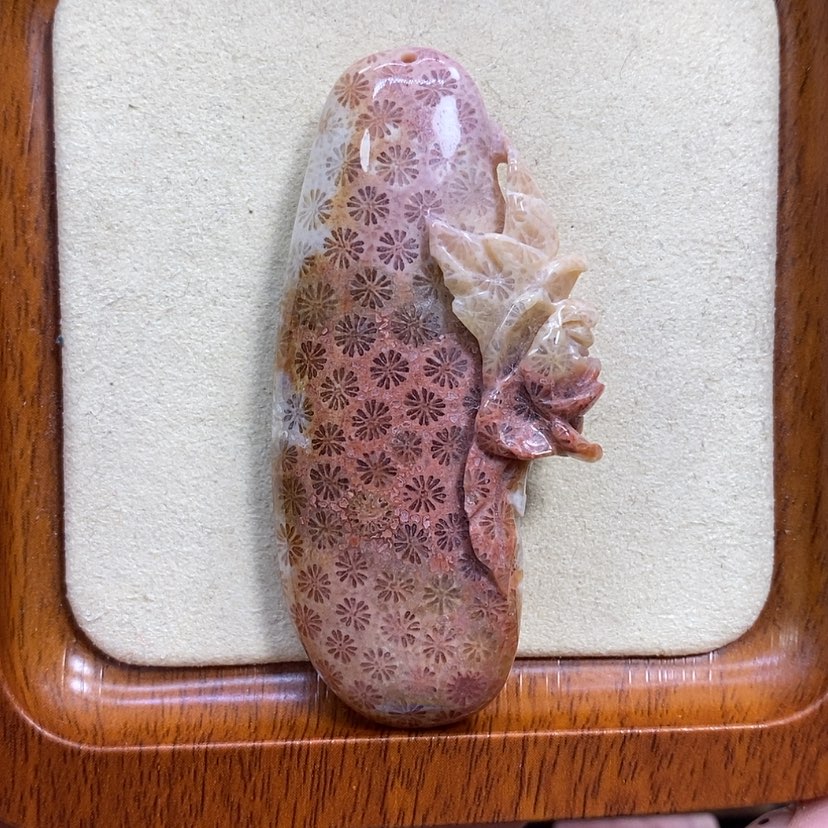 【闪购商品】硅化珊瑚（珊瑚玉）未镶嵌颈饰K5