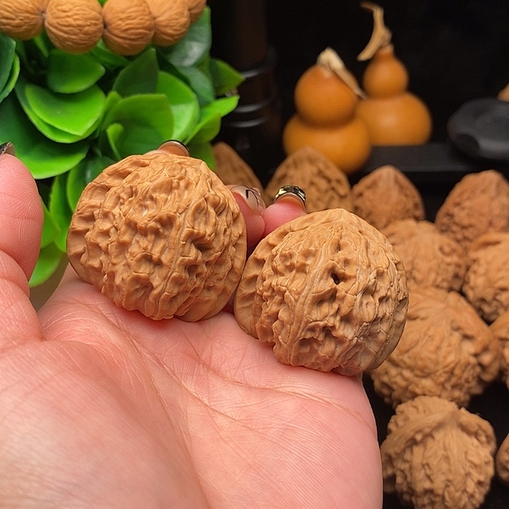 核桃三角白狮子全品