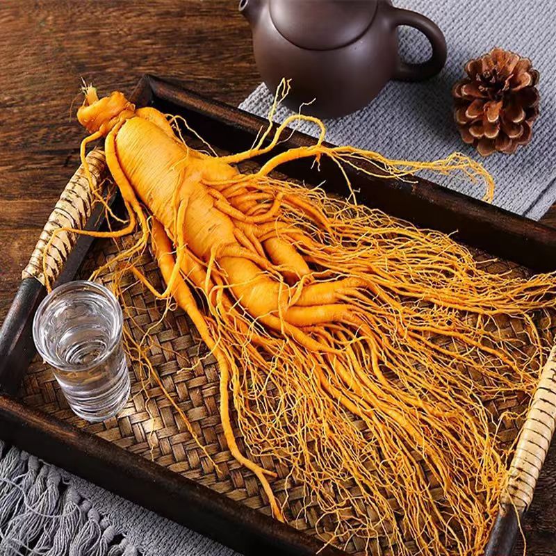 【东北特产】长白山鲜人参真材实料