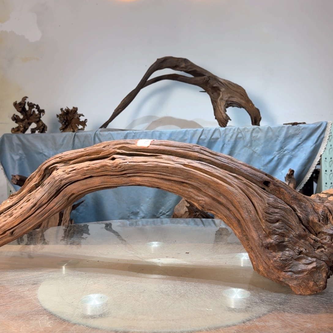 天***勤沉木一物一拍造景