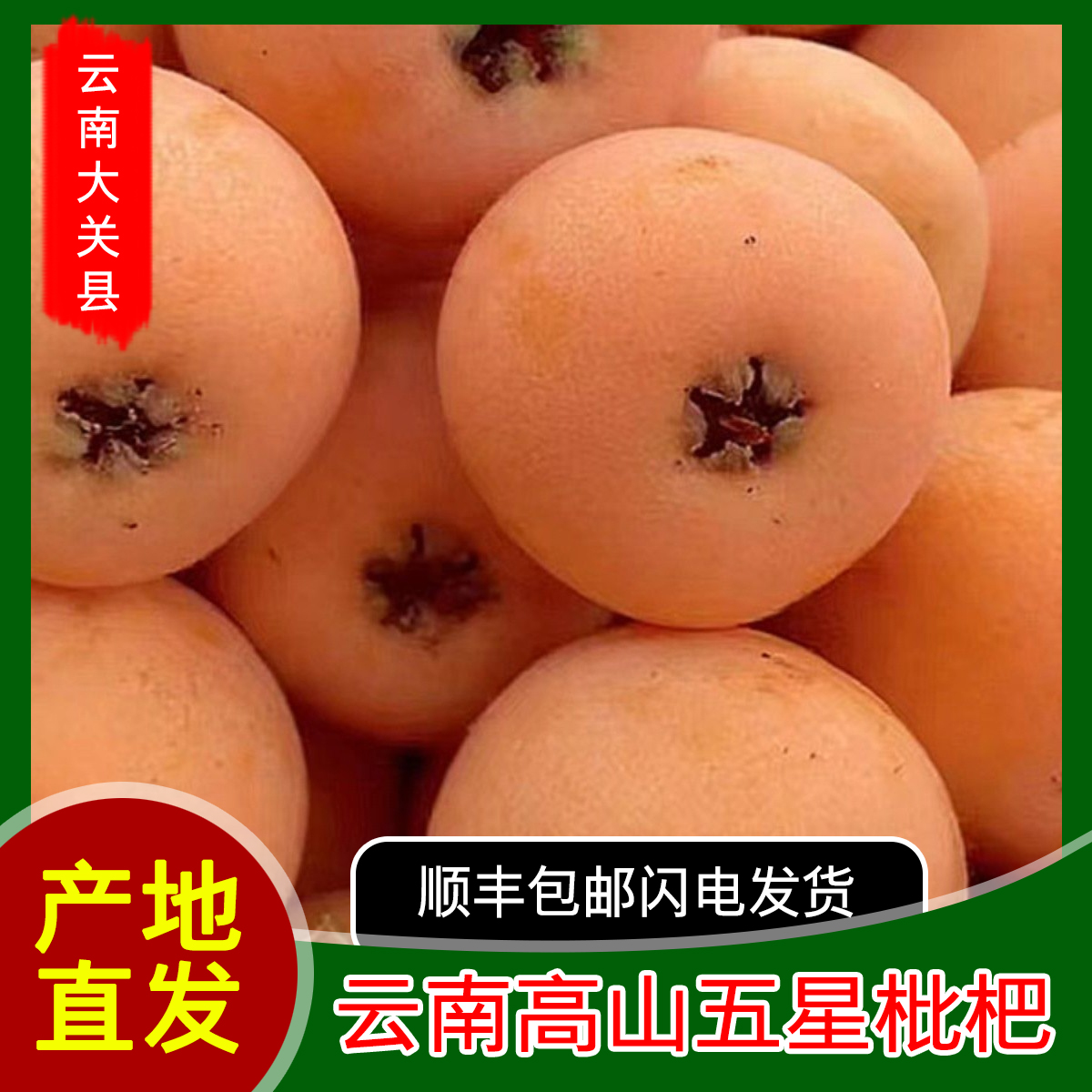 云南大关高山枇杷3斤/5斤 顺丰包邮