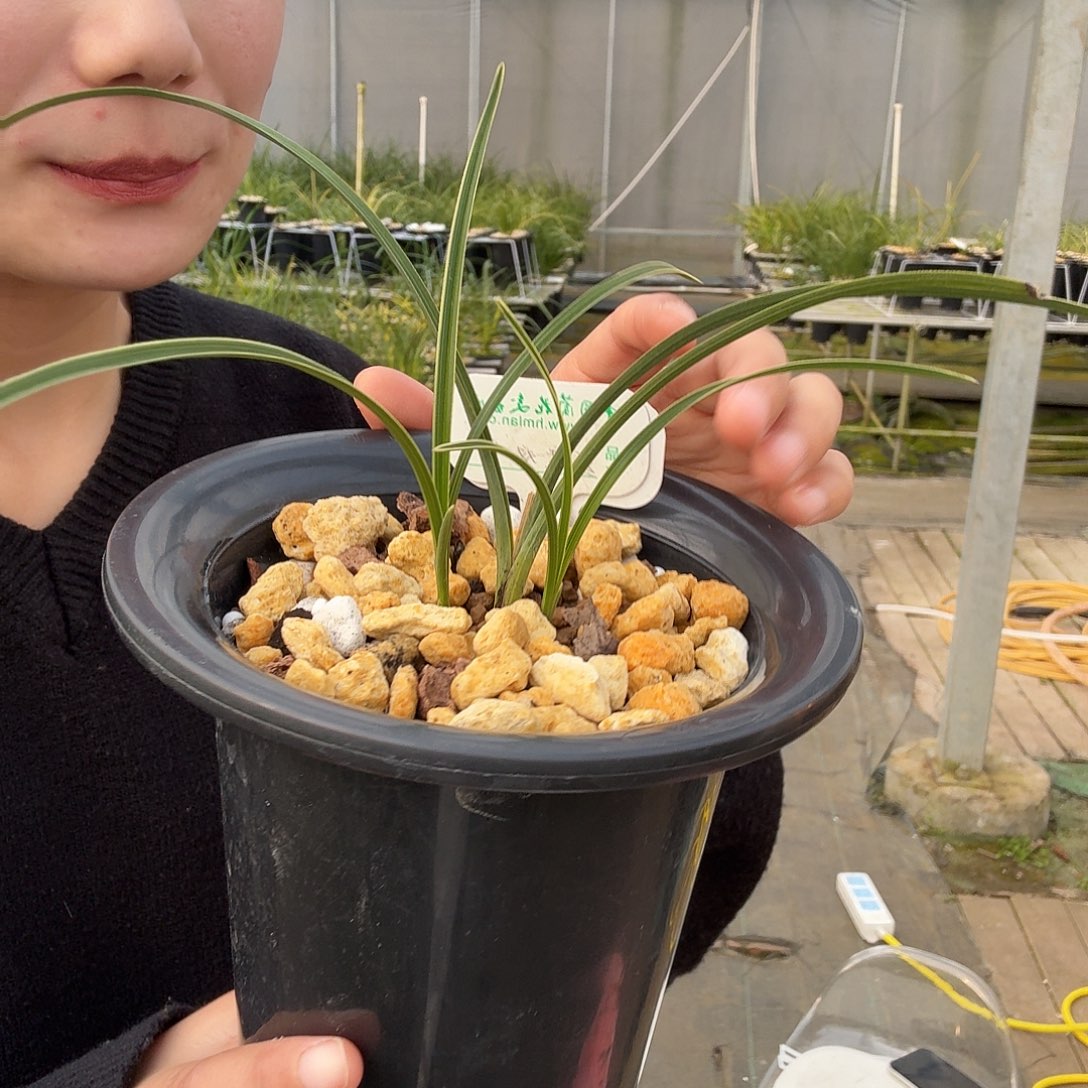 温***我完全开放13355809669