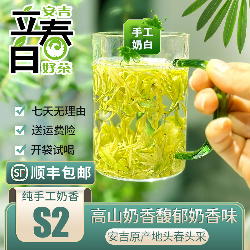 【手工高山奶香S2】安吉原产地高山茶头春头采安吉奶香白叶二号