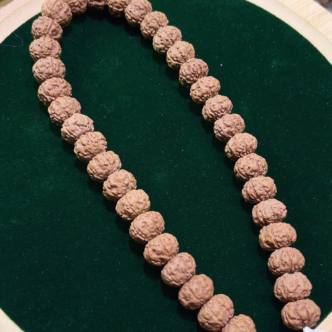 手串金刚菩提精品老树王单圈11.2