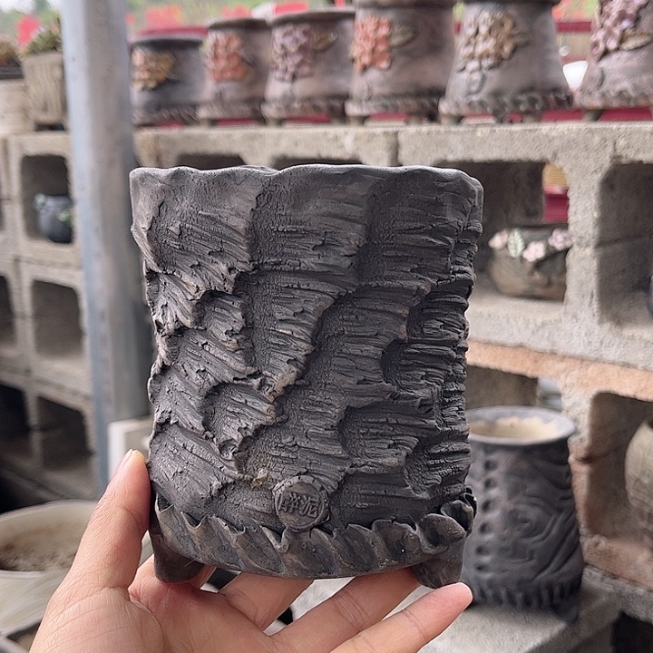 红陶这个节目就是要这么