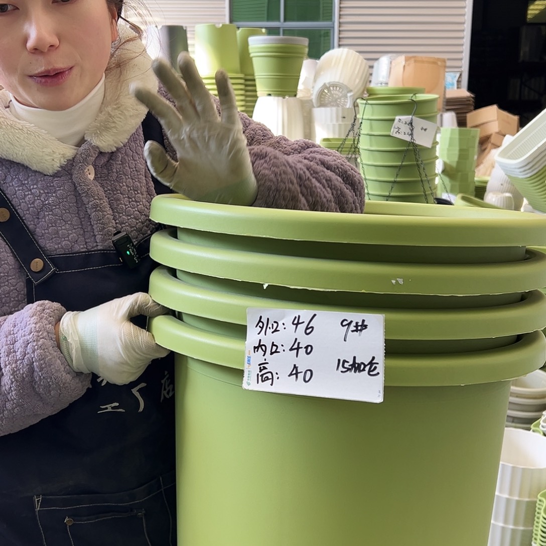 四季盆9#果绿4个无托