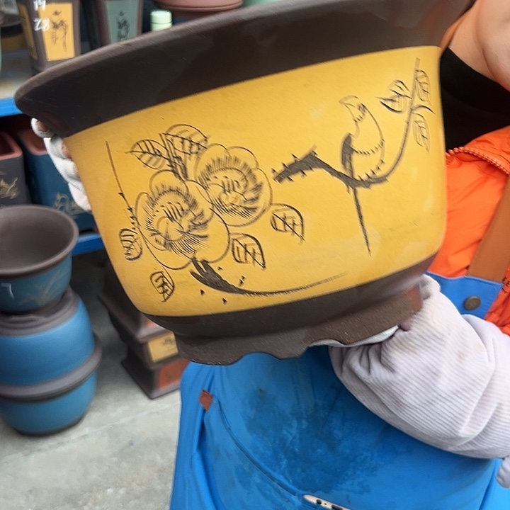 35黄种树花盆花盆花盆