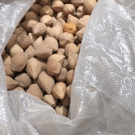 吊坠橄榄核唐*橄榄核雕刻