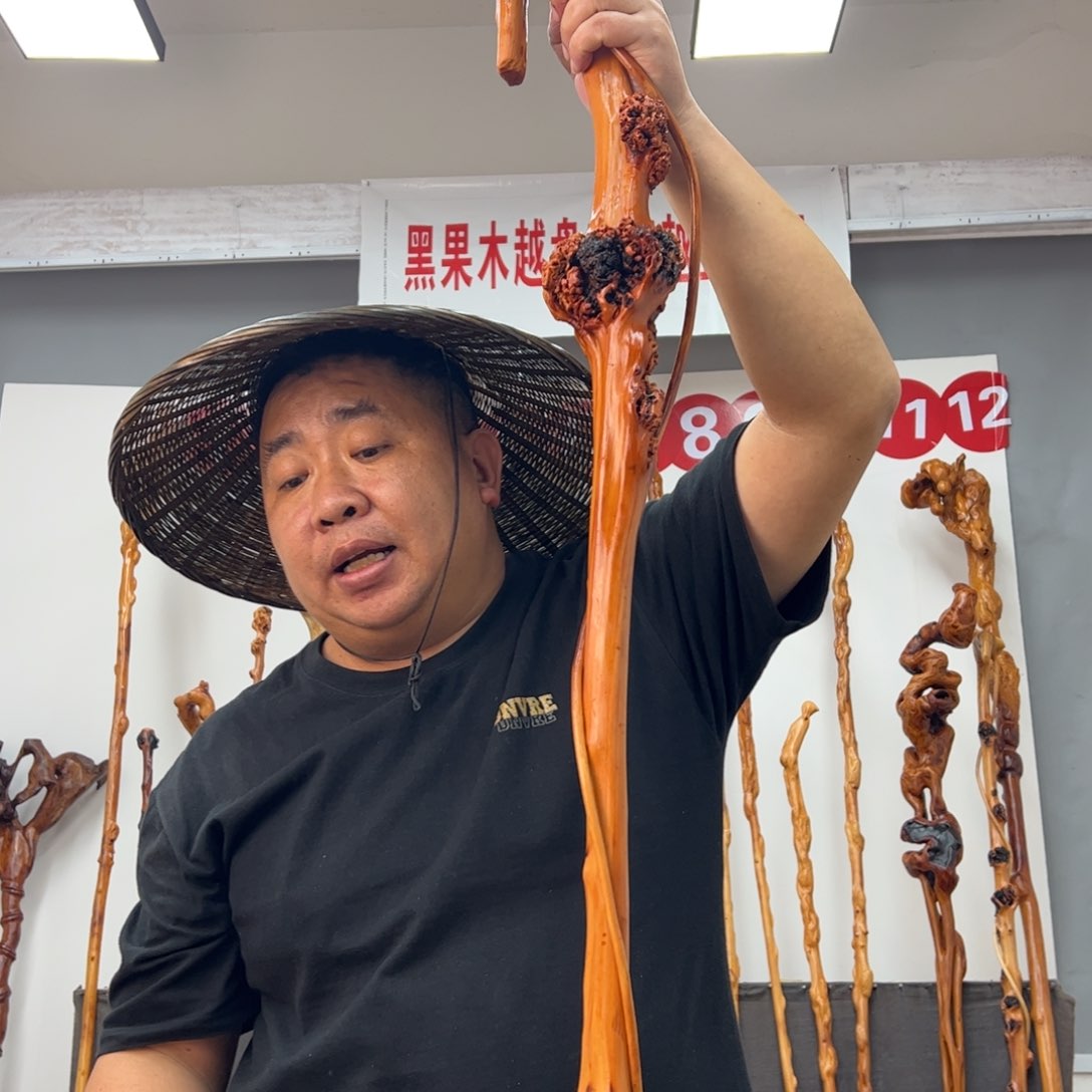 黑果木其他野****黑果木540