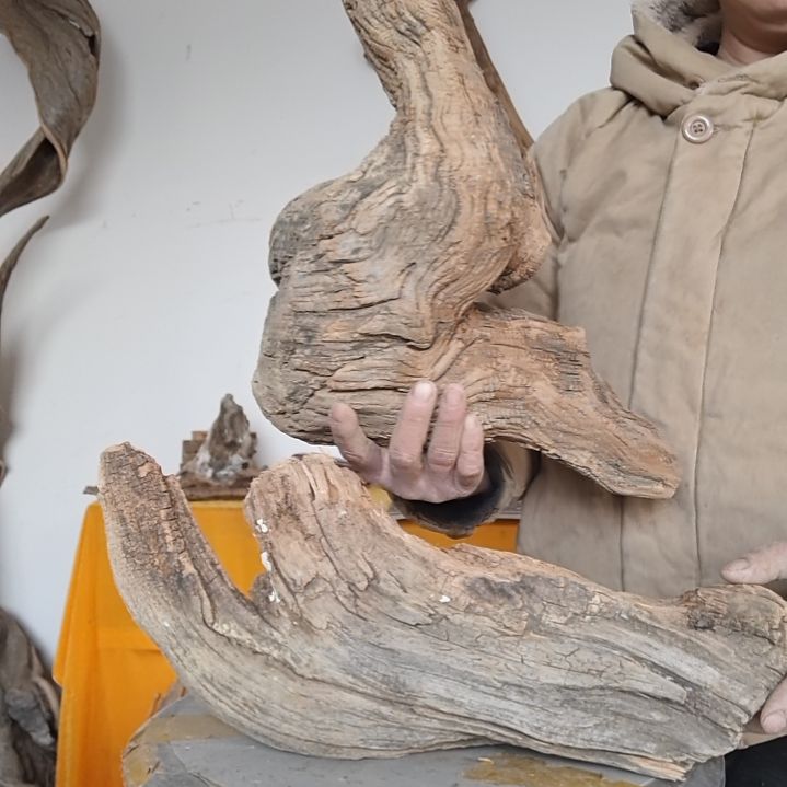 风车木（黑檀木）猎*