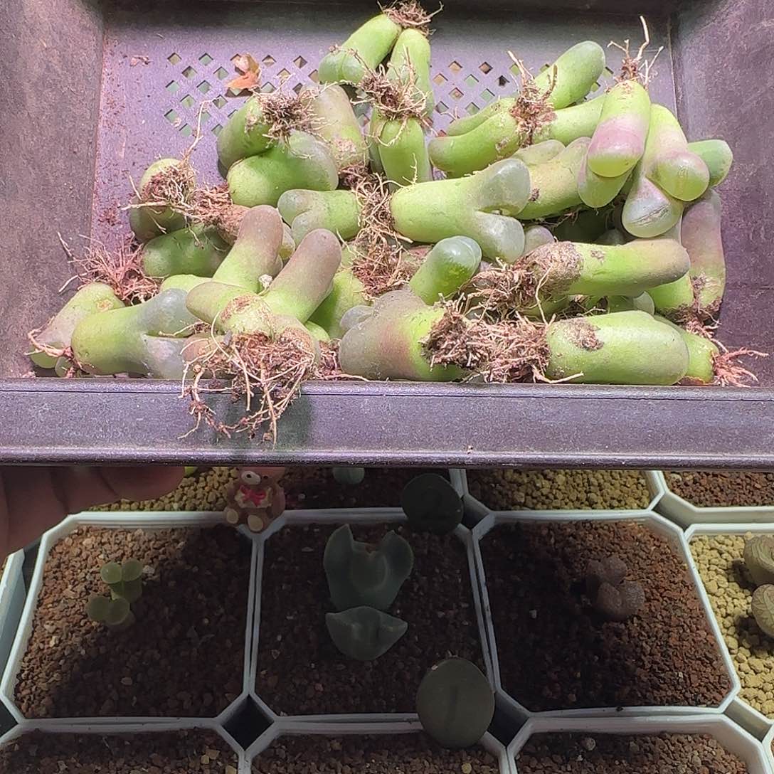 b***~哈哈哈哈哈姐姐家907