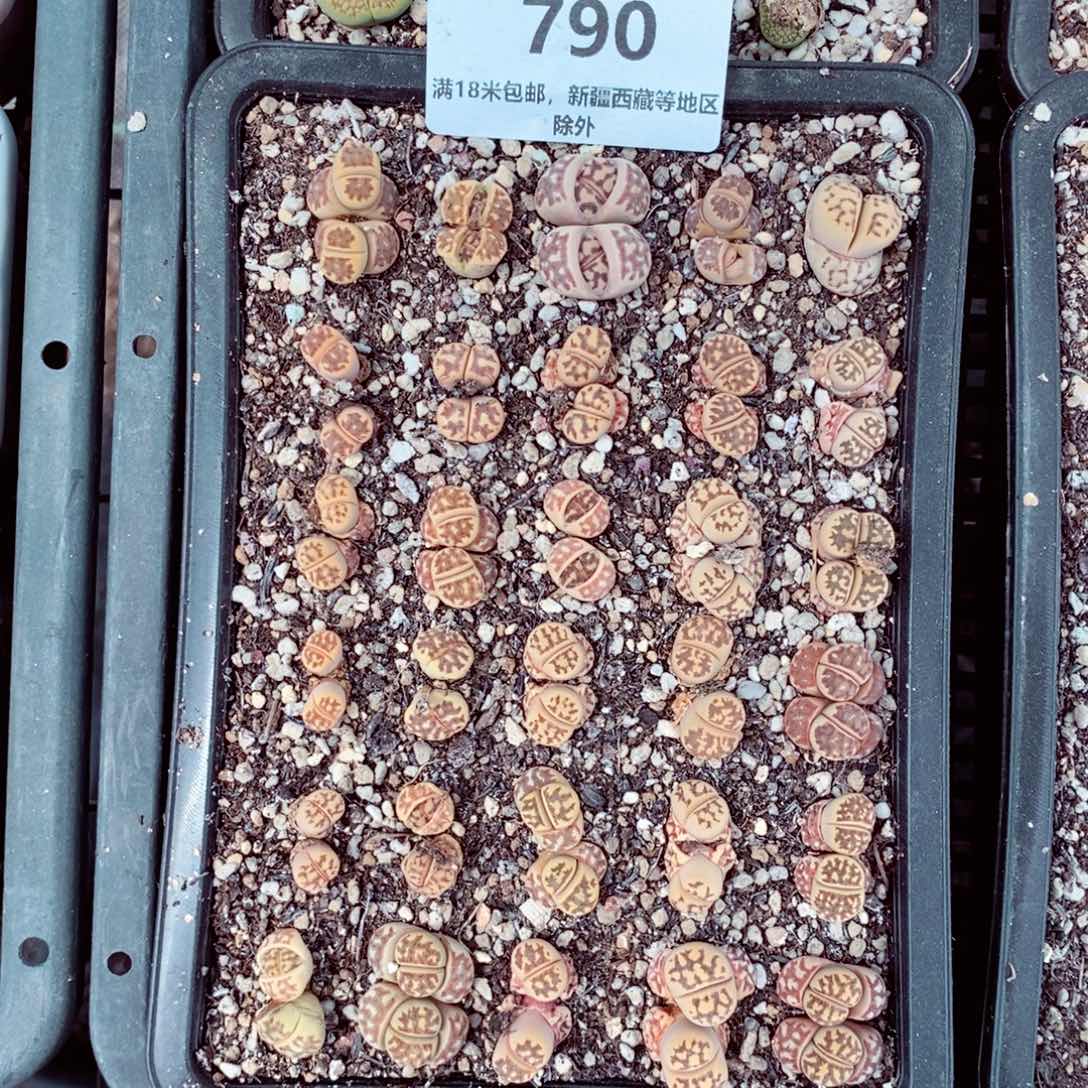 790。                  