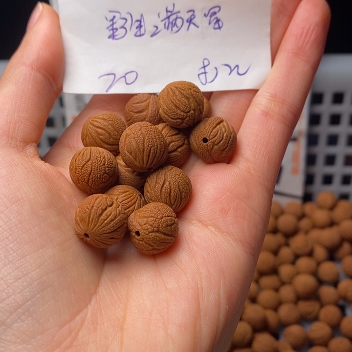 手串桃核13mm左右野生满天星20颗（打孔）