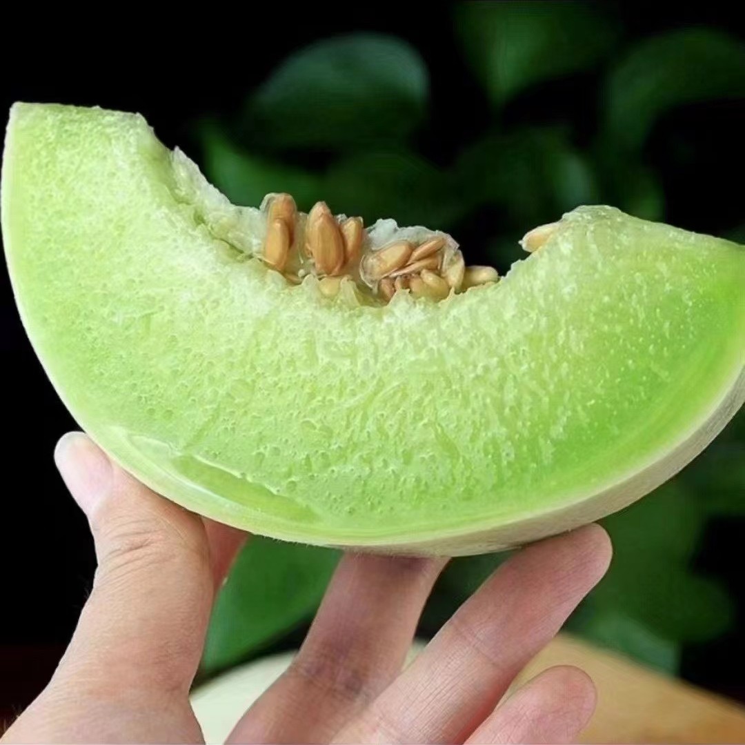 长春可拍【奶香蜜蜜瓜一箱】嘎嘎好吃，嘎嘎甜，包邮