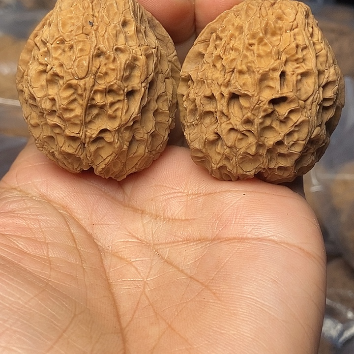 文玩核桃把件云南铁核桃基地33