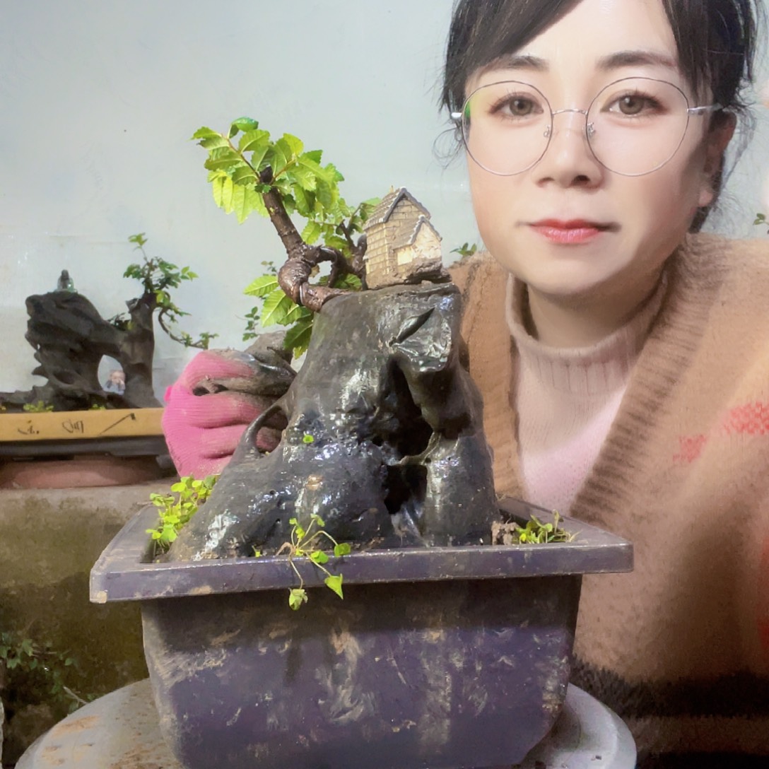 自***@无花朵直播间不见不散来看看有没有喜欢