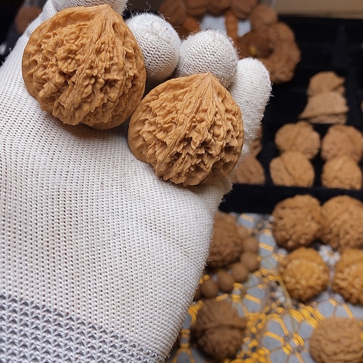 文玩核桃把件张*秦岭野生二棱