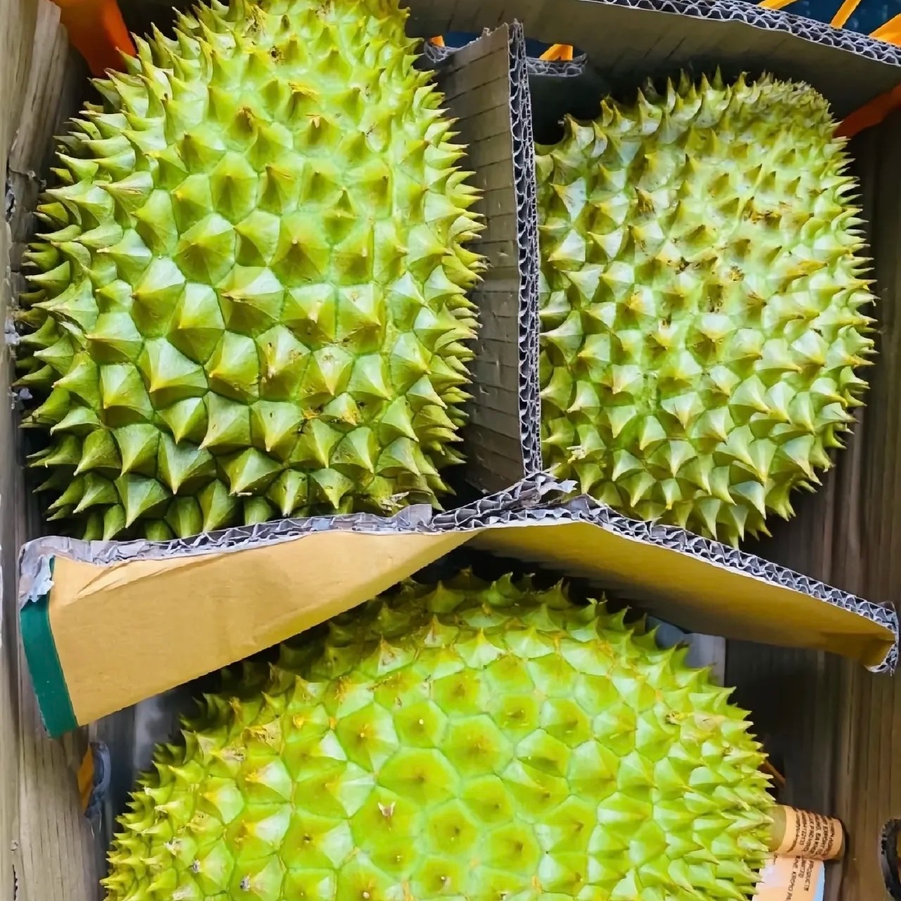 新鲜越南干尧榴莲。核大肉质细腻干包，（一单一拍）斤，蒙阴同城送货到家干尧越南社会主义共和国