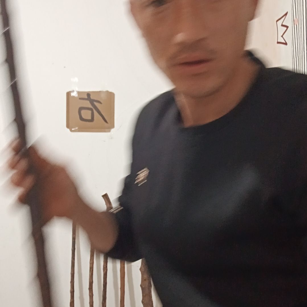 原木直播精品原木