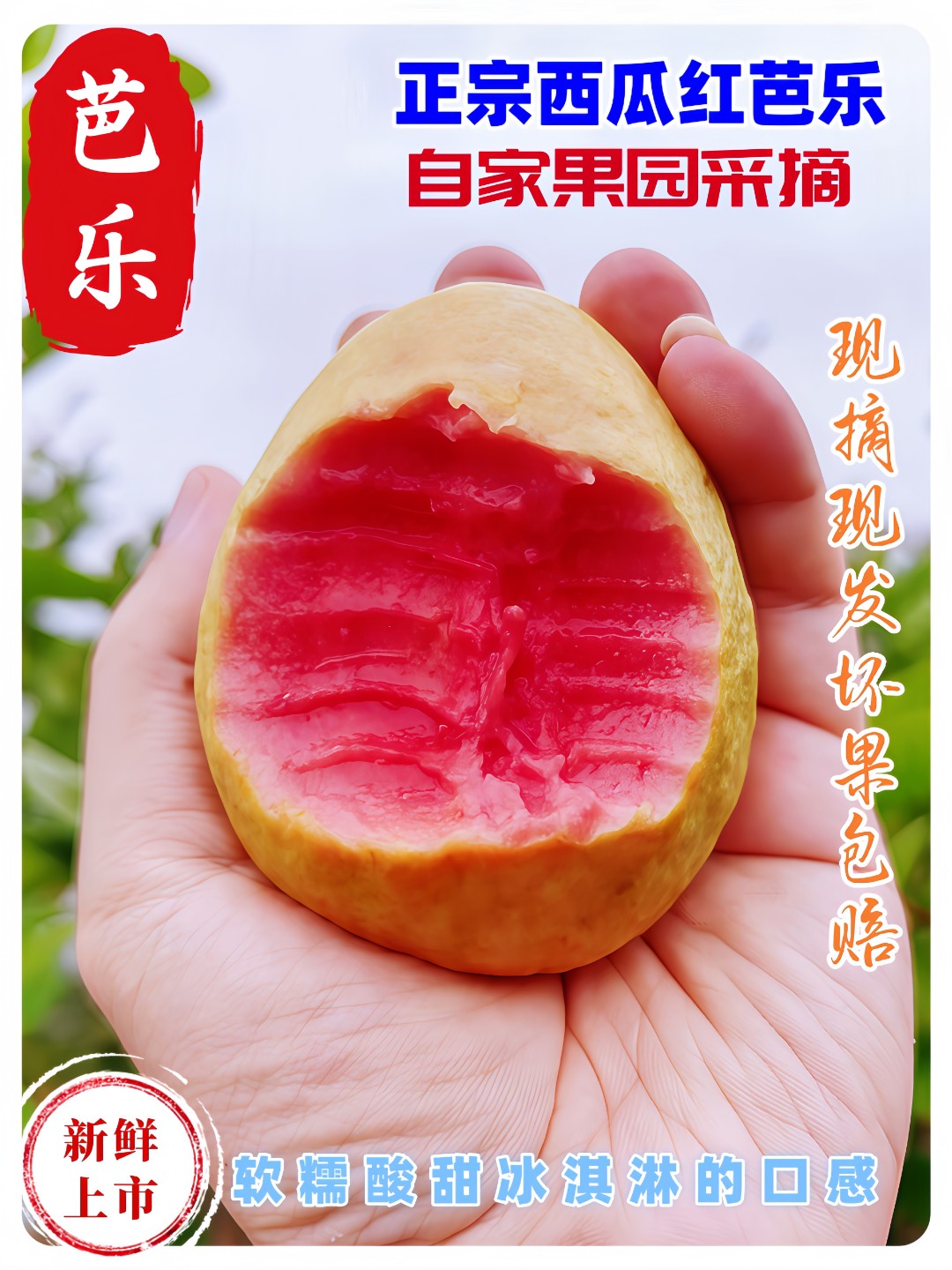 【软糯软心】红心白心番石榴新鲜水果芭乐当季低糖低卡软糯香甜