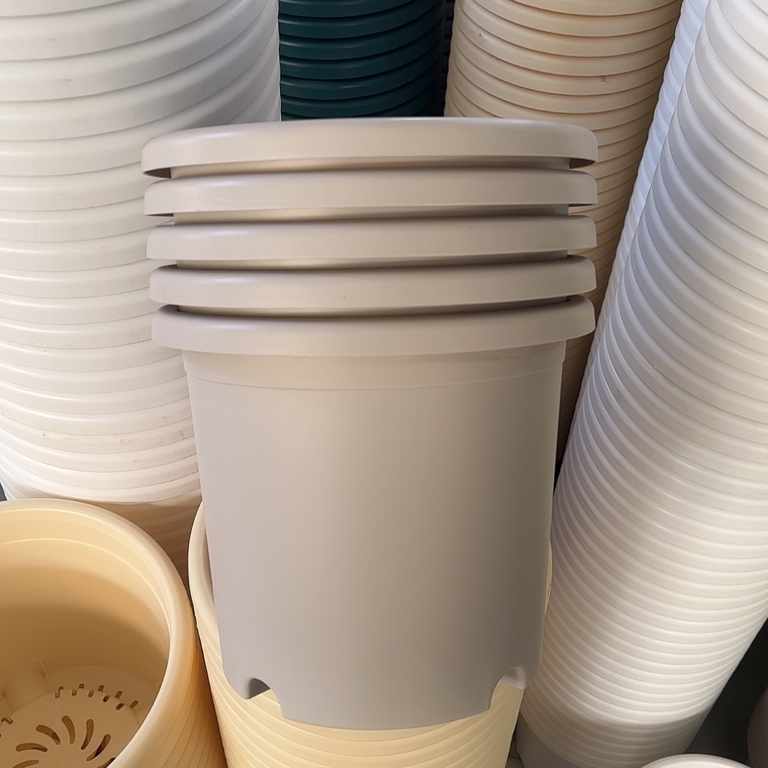 微瑕4号8个无托，灰白