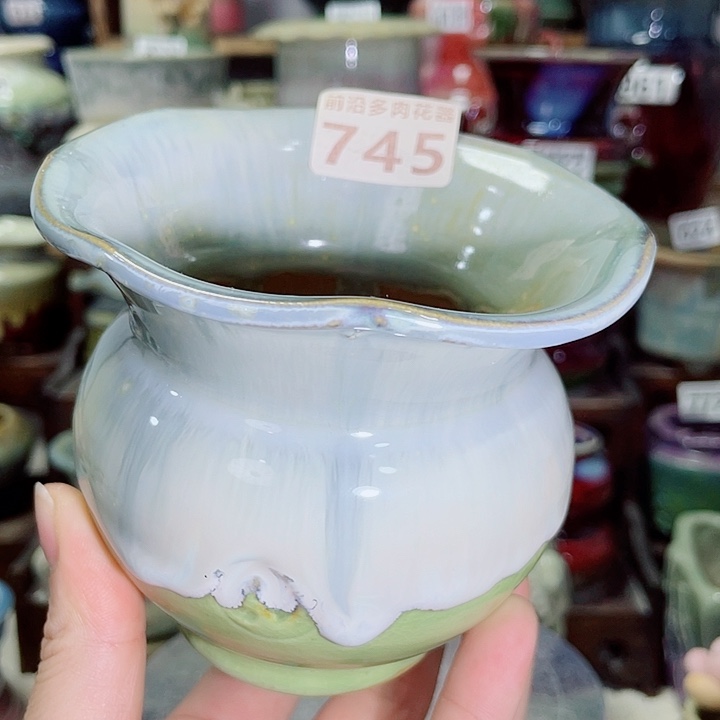 狼盆内口径8高度9