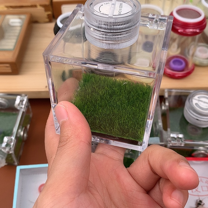 高生态盒一个包邮