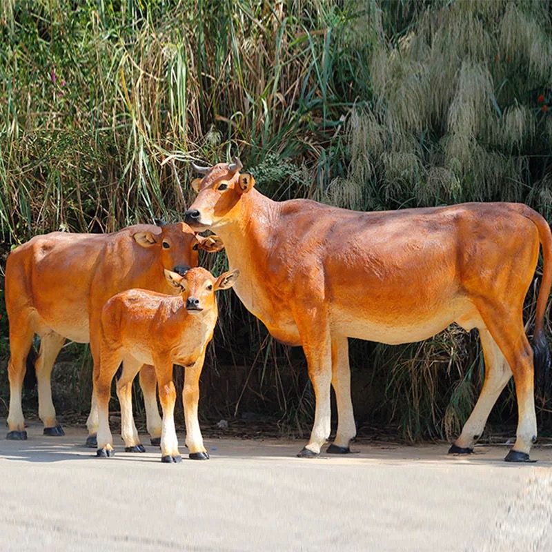 顺丰包邮现拍现称农村散养土黄牛肉牛毽子肉牛腩肉新鲜牛肉