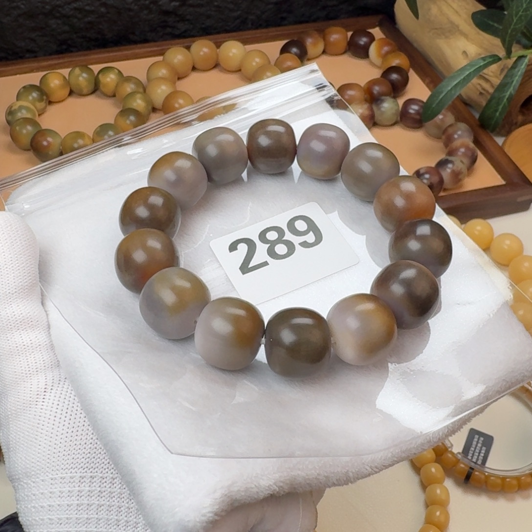 ****欣吊坠菩提根/象牙果19干磨瑕疵