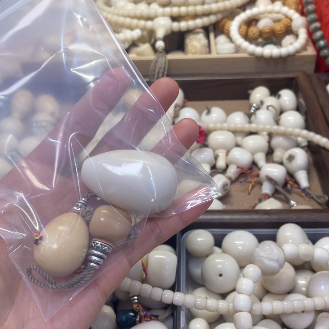 鲨****菩提根/象牙果吊坠