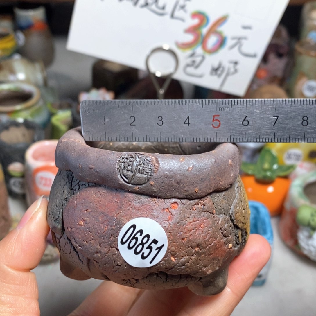 拍3送一个小礼物＇花盆