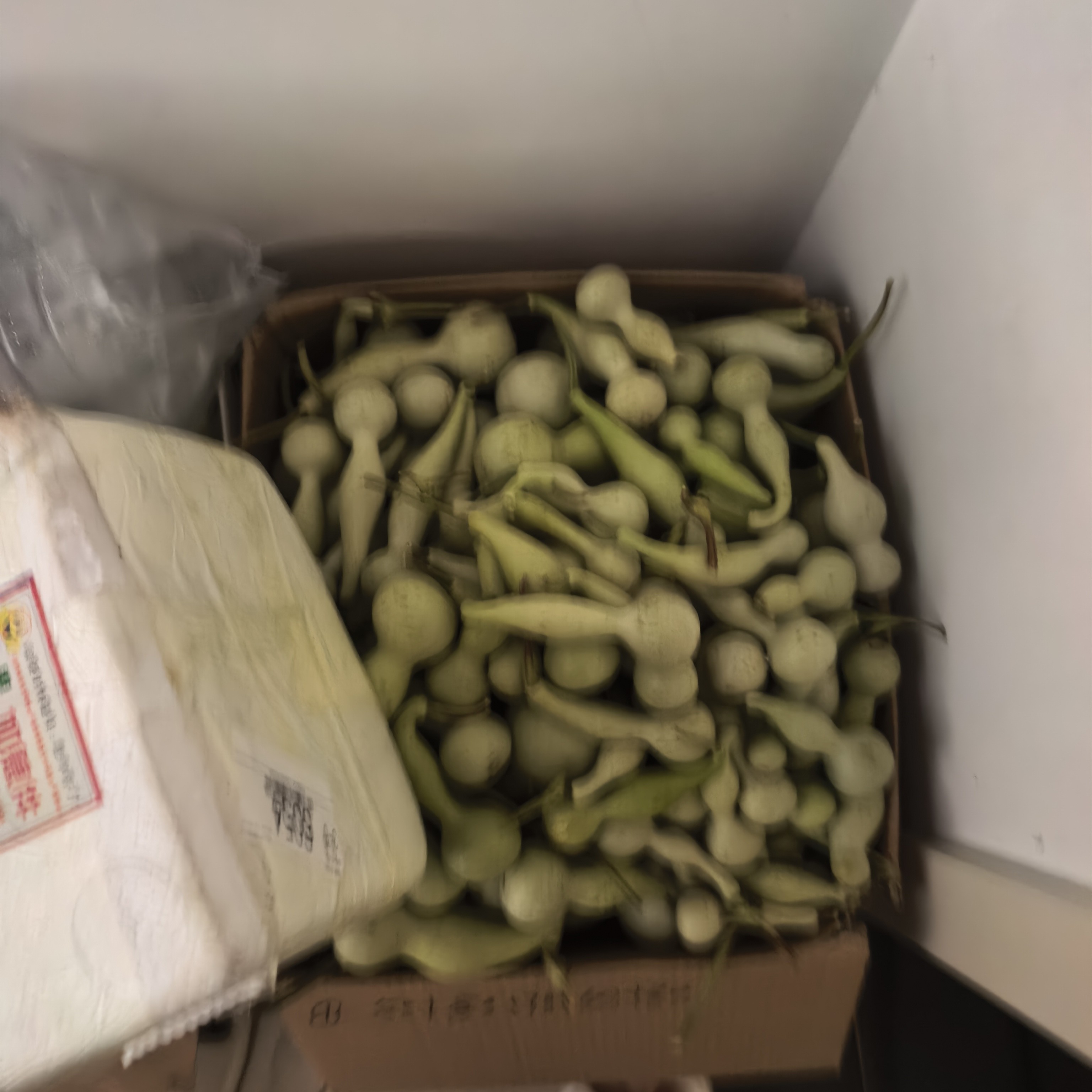青皮葫芦工艺品摆件