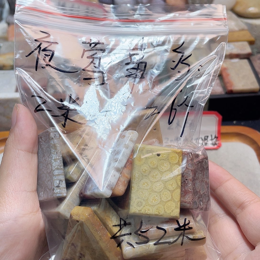 夜***多硅化珊瑚（珊瑚玉）合金颈饰