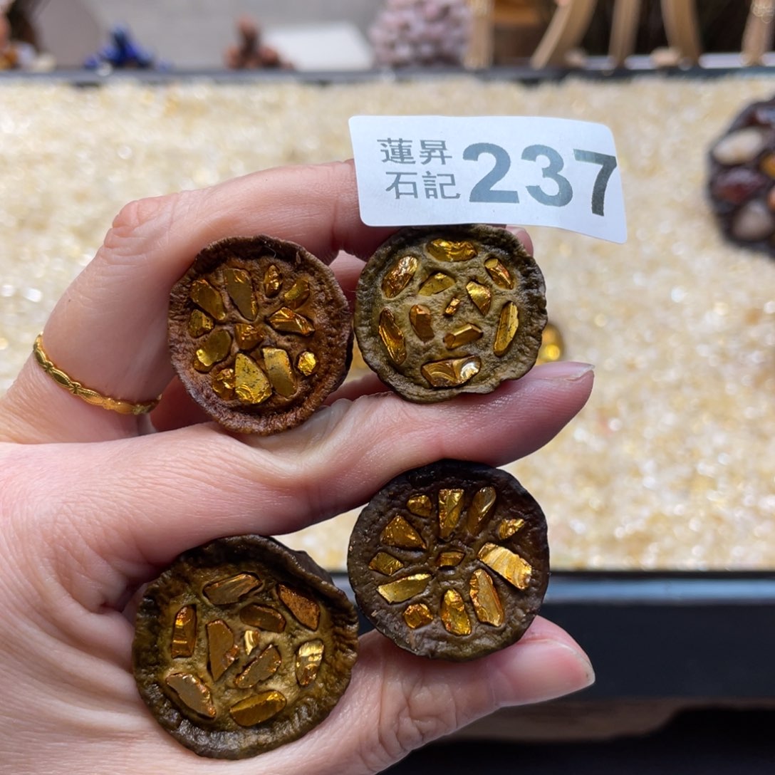 核桃木/黑胡桃（胡桃木）艺*237