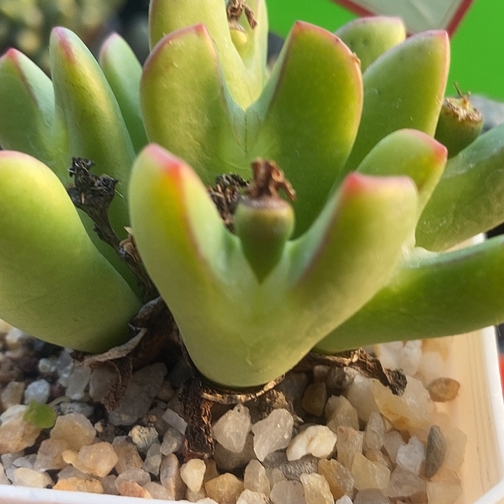 今天下午就回来的时候5016