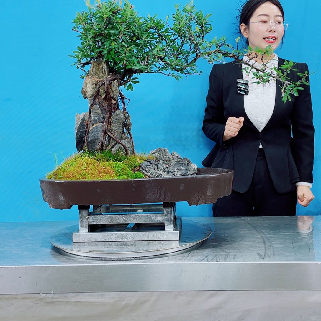 无铅玻璃岭南文化艺术中心的