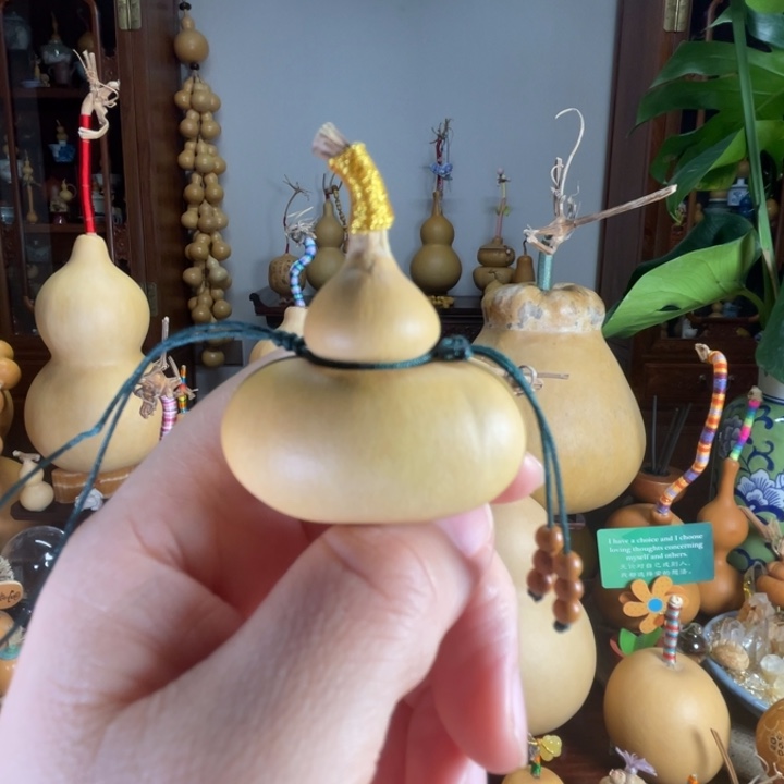 三***.厚皮老葫芦钱袋子