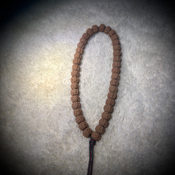 葛地利纯血一代龙手持金刚菩提手串