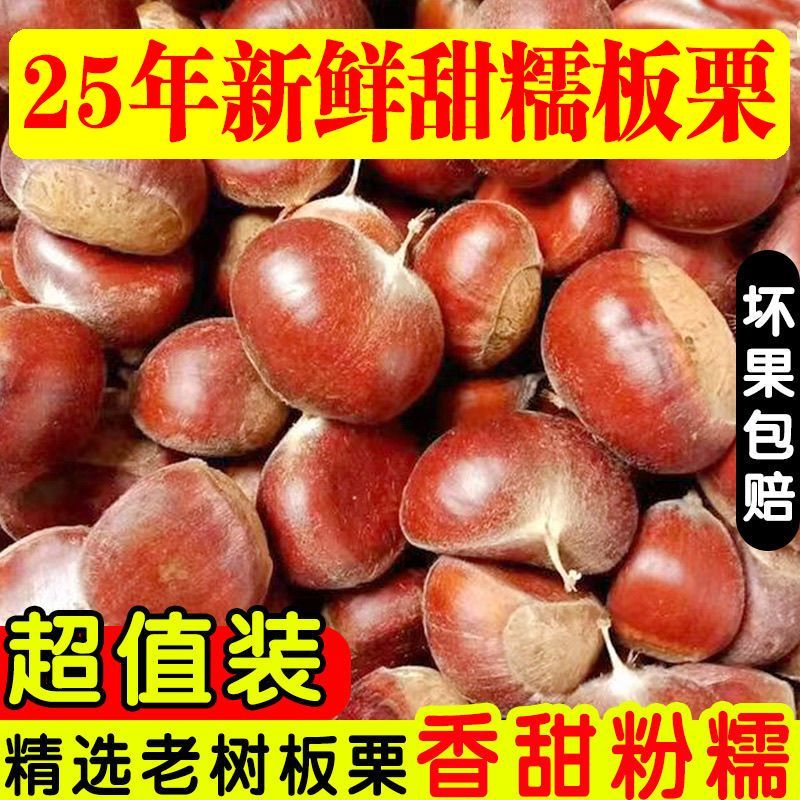 【买3斤送2斤】新鲜现摘高山板栗甘甜清脆生栗子板栗带袋5斤