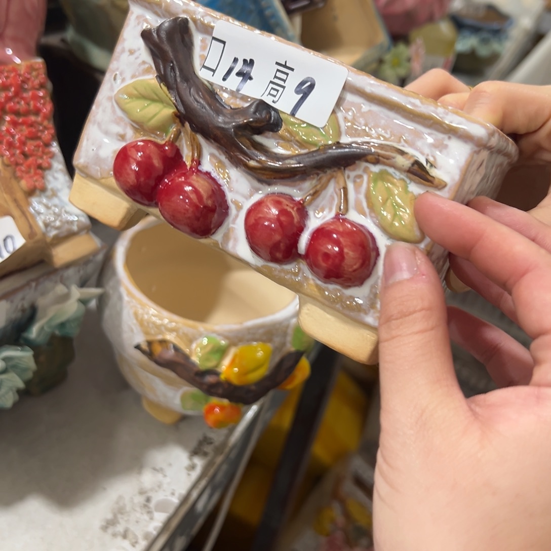 爱退拉黑多肉满20发货