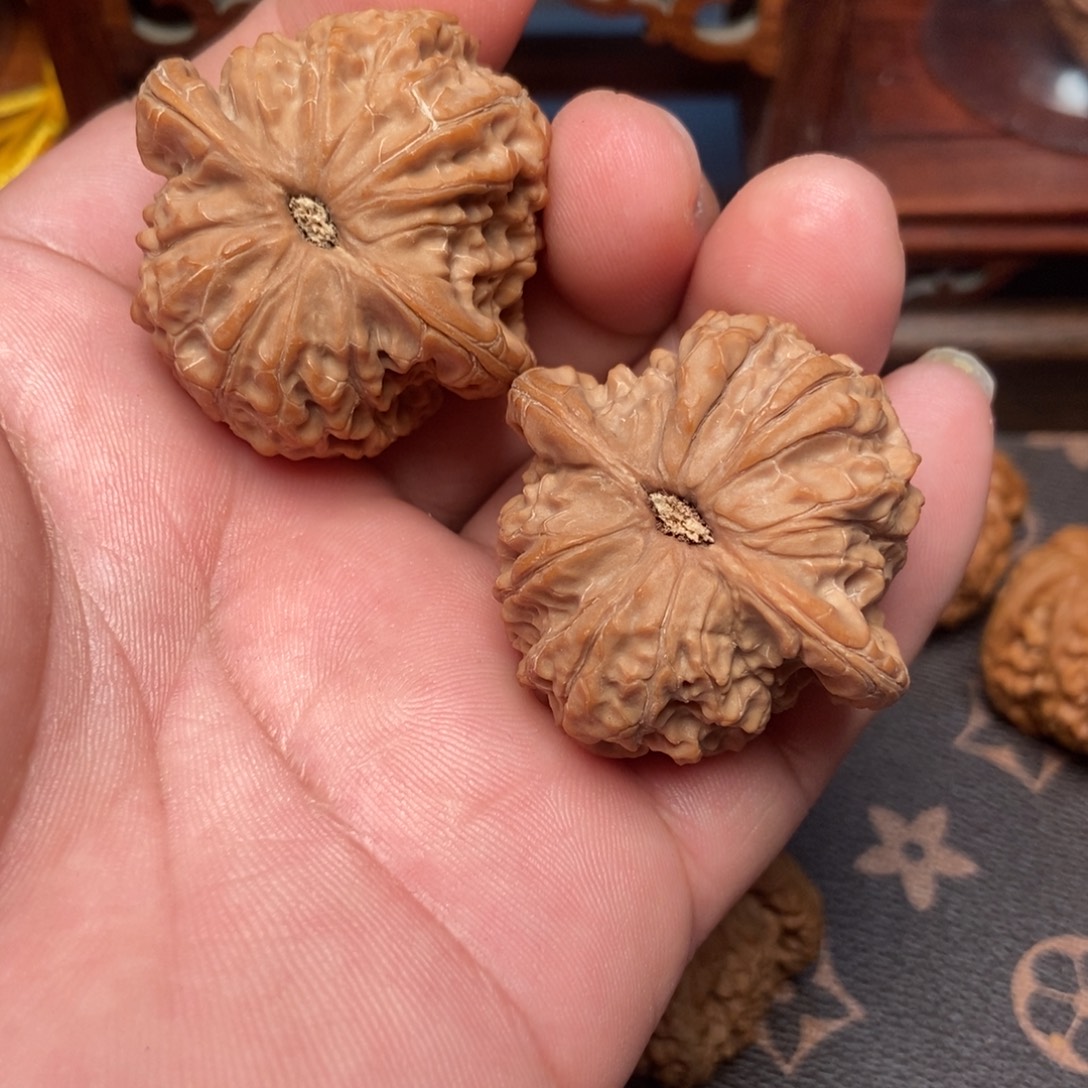 大叶紫檀（黑酸枝木类）