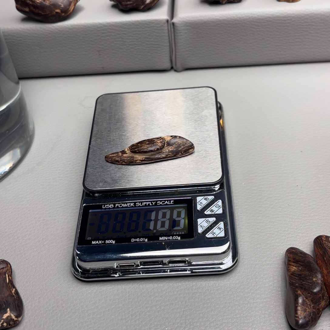 独*文莱文莱文莱文莱