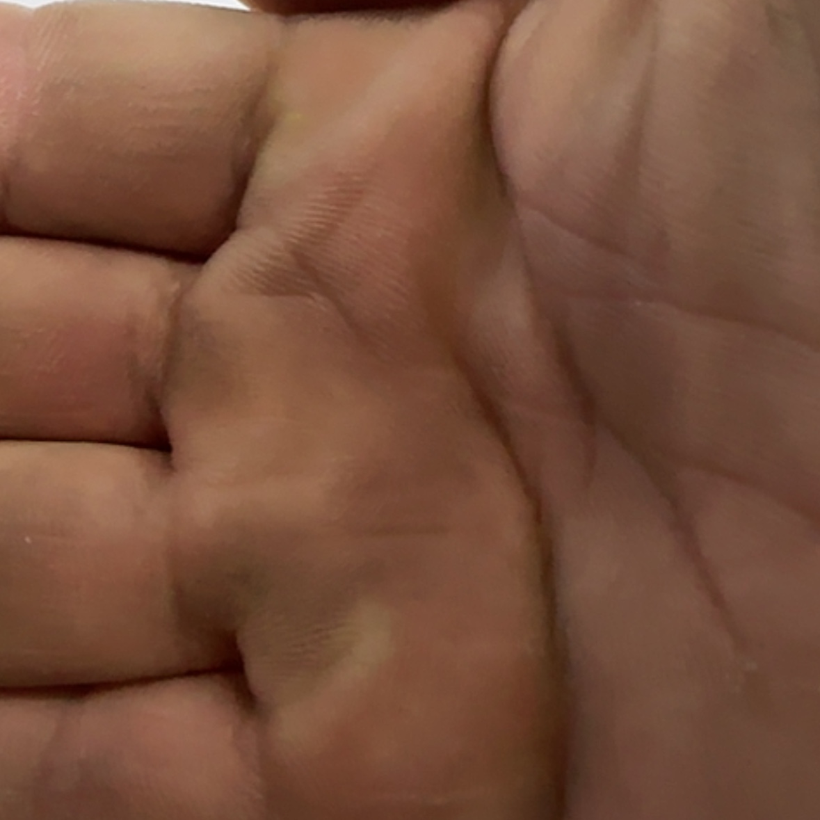 【闪购商品】香榧木在一起就好想