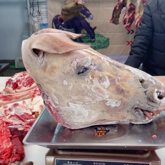 【闪购商品】冷冻保存30天包装河北省