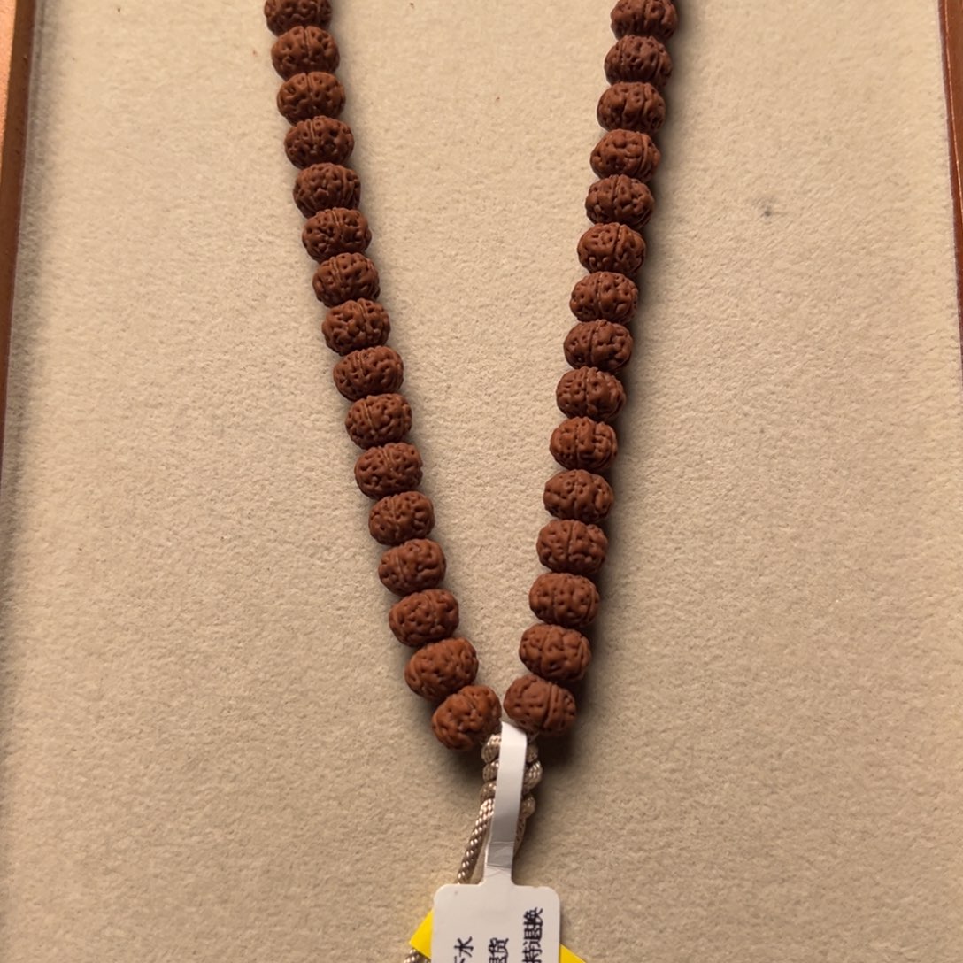 尊***者菩提籽类9999999999