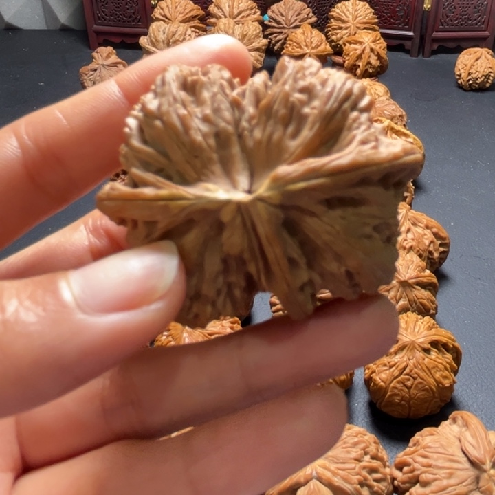 白狮子球连51尺寸单只核桃哈哈哈哈哈哈哈