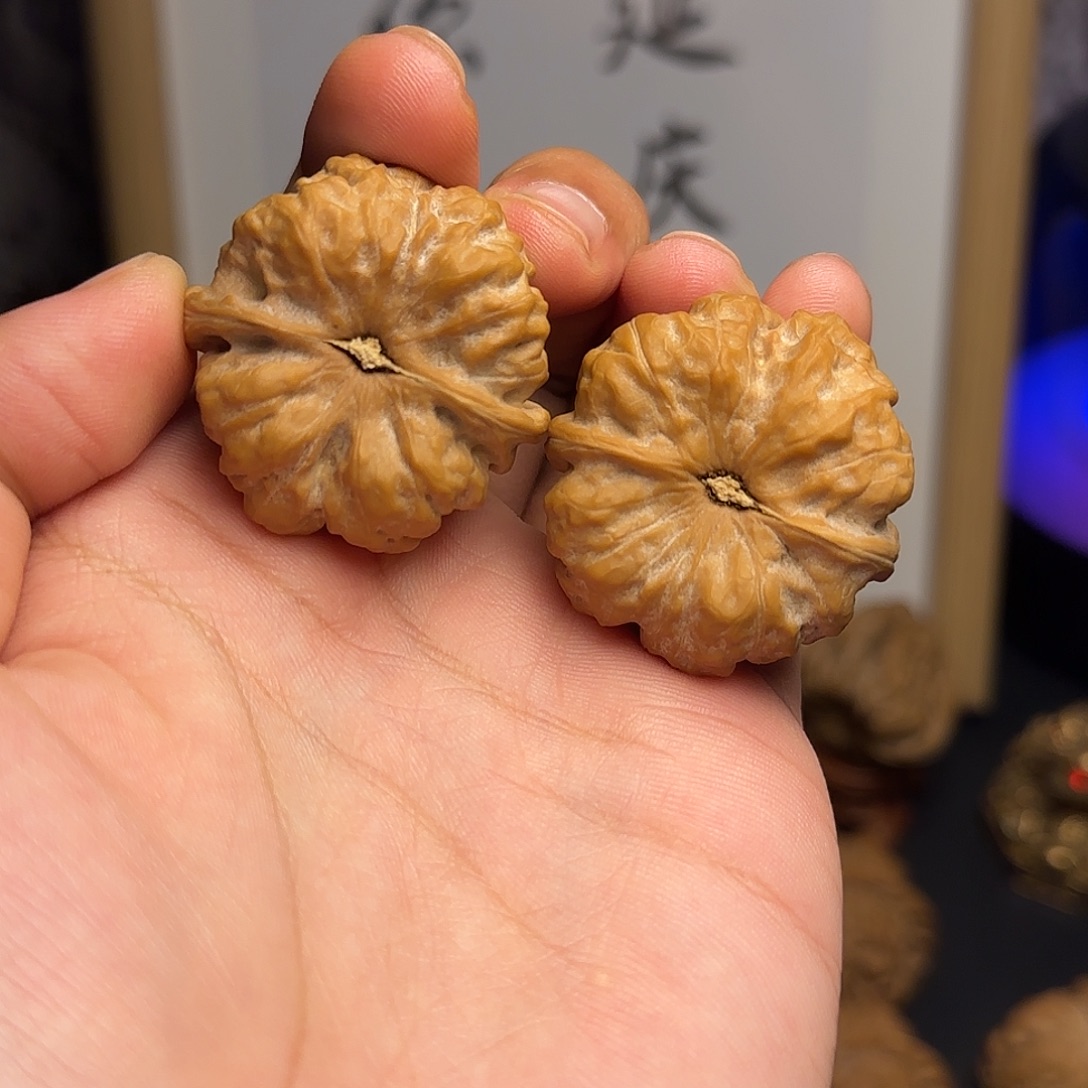 36✖️37全品红皮蛤蟆