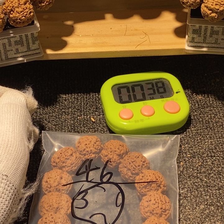 。****吊坠金刚菩提也没有说一天两节数学