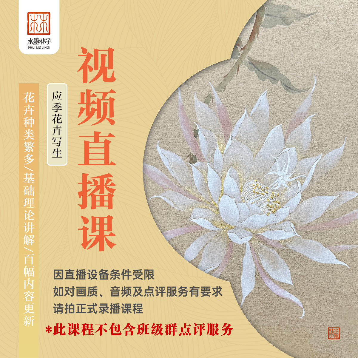 【苹果】《视频直播课》第一期没骨画绘画美术国画作品课程